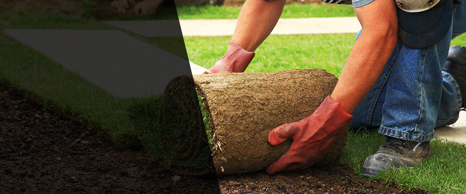 Hughes Springs Landscapers